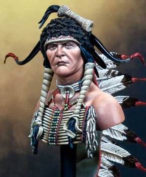 Sioux Warrior