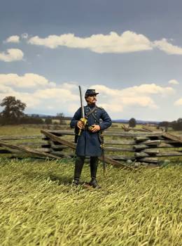 The Museum Collection: Colonel Robert Gould Shaw, 54th Massachusetts Infantry, American Civil War