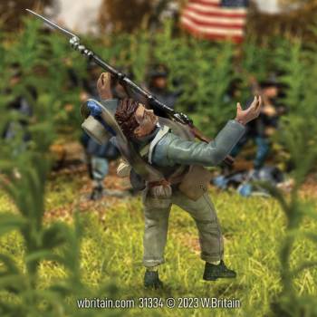 American Civil War: Confederate Casualty Falling