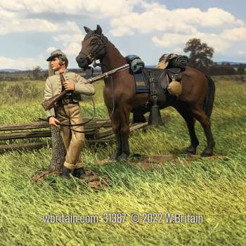 American Civil War: Dismounted Confederate Cavalryman Resting with Mount