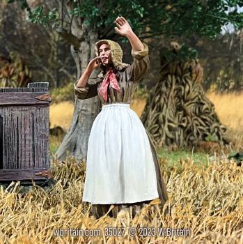 Village Green: Virgil! Quick Come See! 1860s Woman Shouting