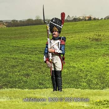 Napoleonic: Imperial Guard at Present Arms