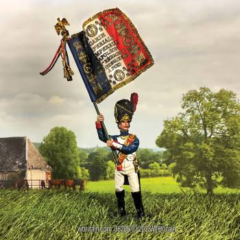 Napoleonic: French Imperial Guard with Eagle 1815