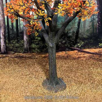 Scenics Collection: Old Growth Oak Tree, Autumn