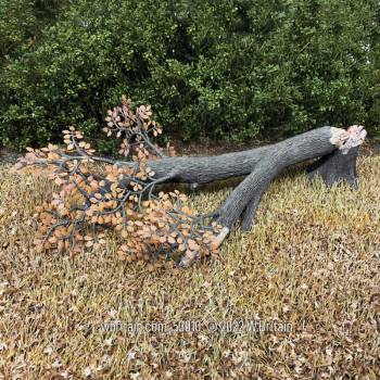 Scenics Collection: Fallen Old Growth Oak Tree with Stump