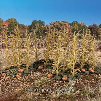 Scenics Collection: 18th-19th Century Autumn Corn