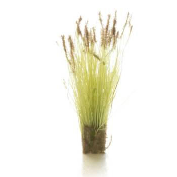 All Game Terrain: Peel N Plant Tufts Cattails (20pcs)