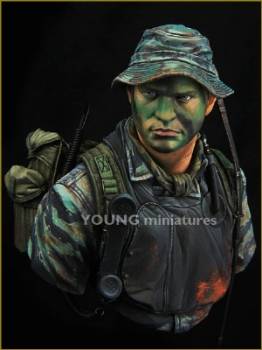 Vietnam US Navy Seal Vietnam