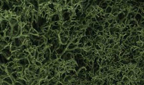 Lichen - Medium Green