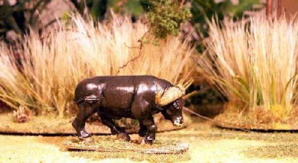 North Star Africa - Cape Buffalo A (1)