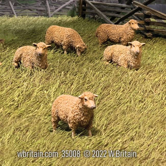 Village Green: Flock of Sheep