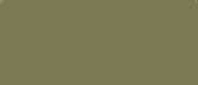 LifeColor Olive Drab Weathered 22ml FS 34088