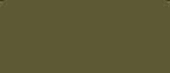 LifeColor Olive Drab 41 22ml FS 34088