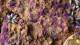 Gamers Grass Tiny Tufts - Alien Purple