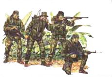 Vietnam US Navy Seal Team