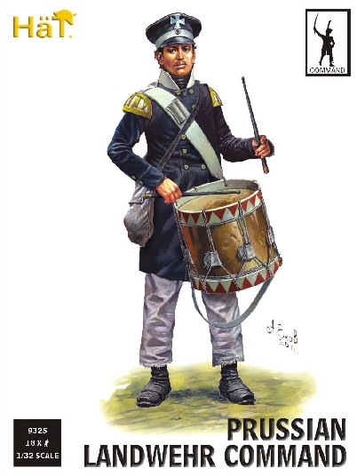 Napoleonic Prussian Landwehr Command (18)