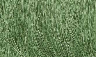 Field Grass - Medium Green