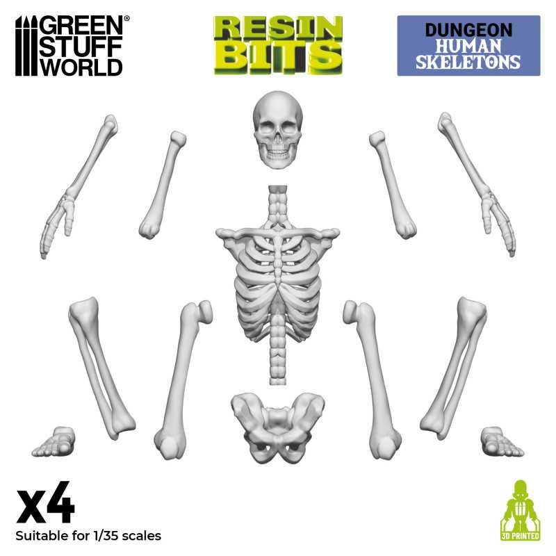 3D Printed Set - Human Skeletons 1:35