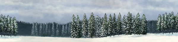 Winter Scene Backdrop No.2