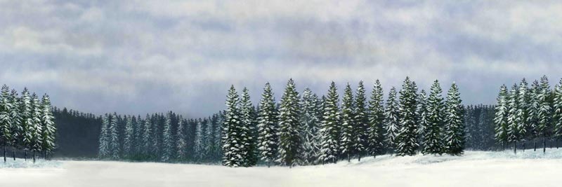 Winter Scene Backdrop No.1