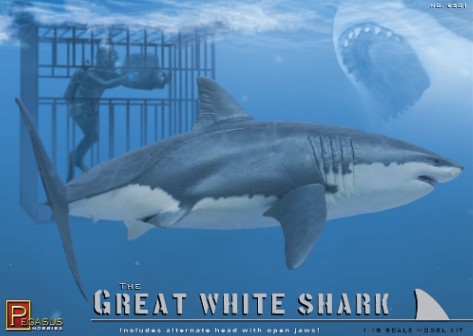 The Great White Shark