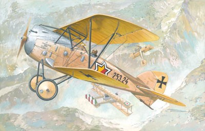 Albatros D III Oeffag s253 Austro-Hungarian BiPlane Fighter