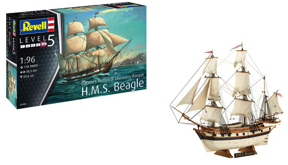 HMS Beagle Sailing Ship