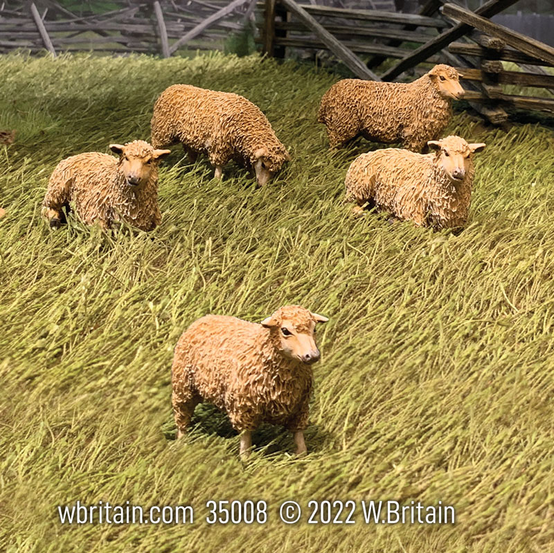 Village Green: Flock of Sheep