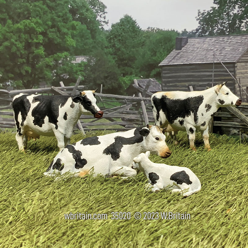 Village Green: Black Randall Lineback Cows