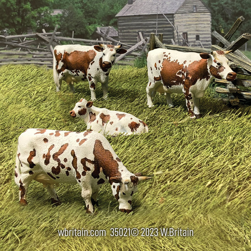 Village Green: Brown Randall Lineback Cows