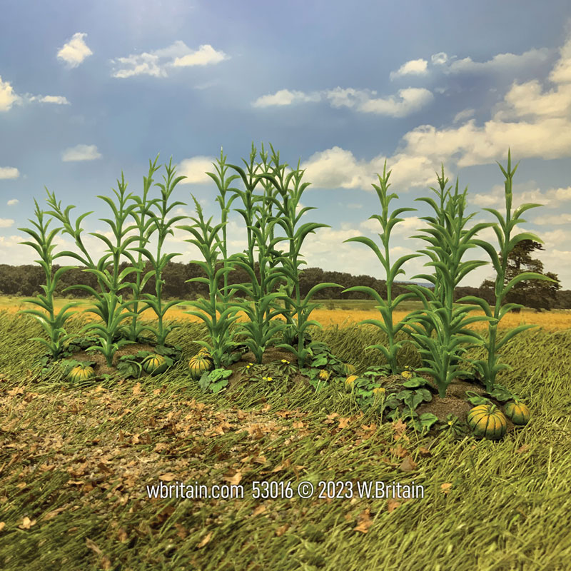 Scenics Collection: 18th-19th Century Corn