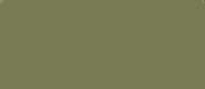 LifeColor Olive Drab Weathered 22ml FS 34088